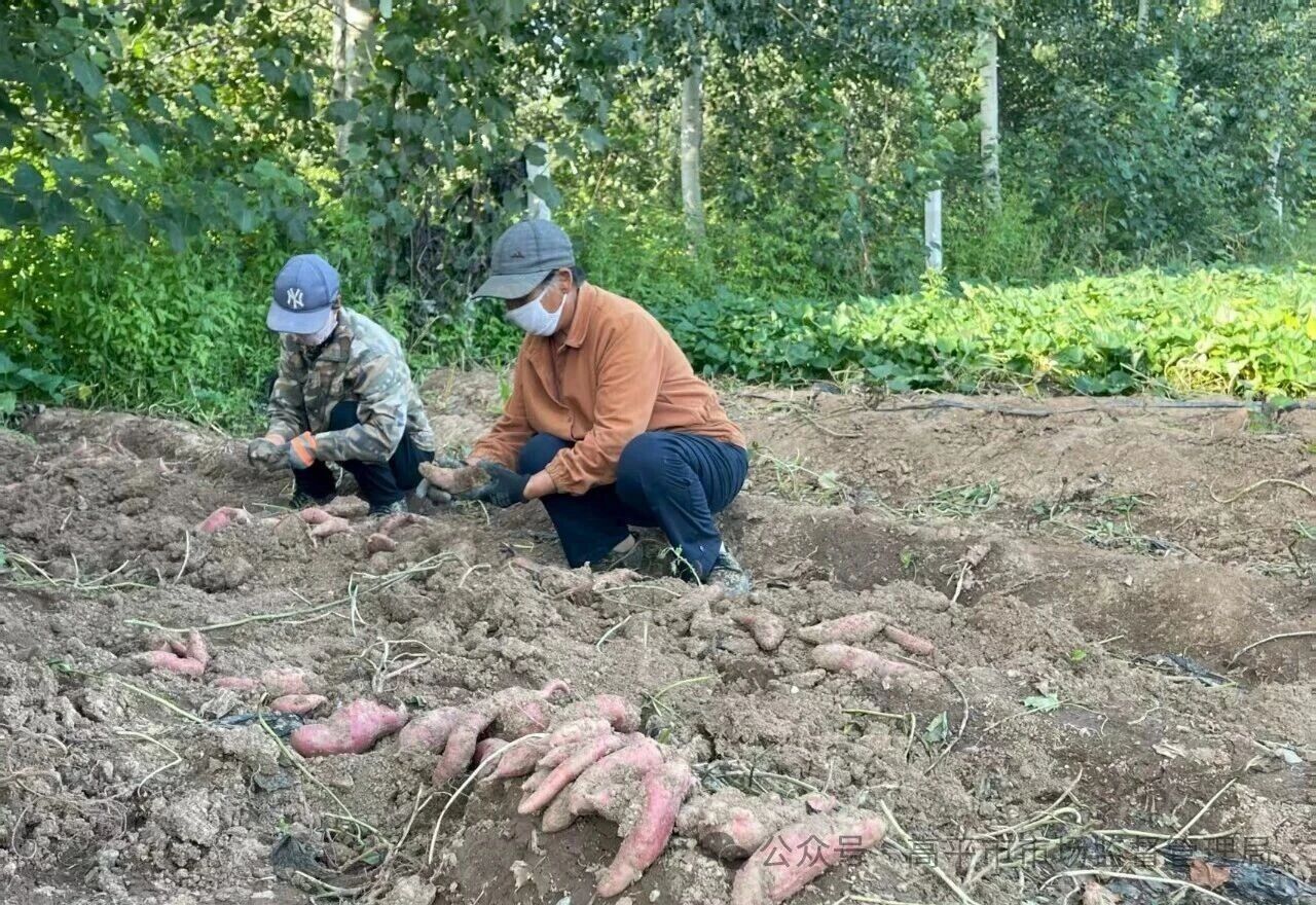 微信图片_2025-09-19_092153_148.jpg